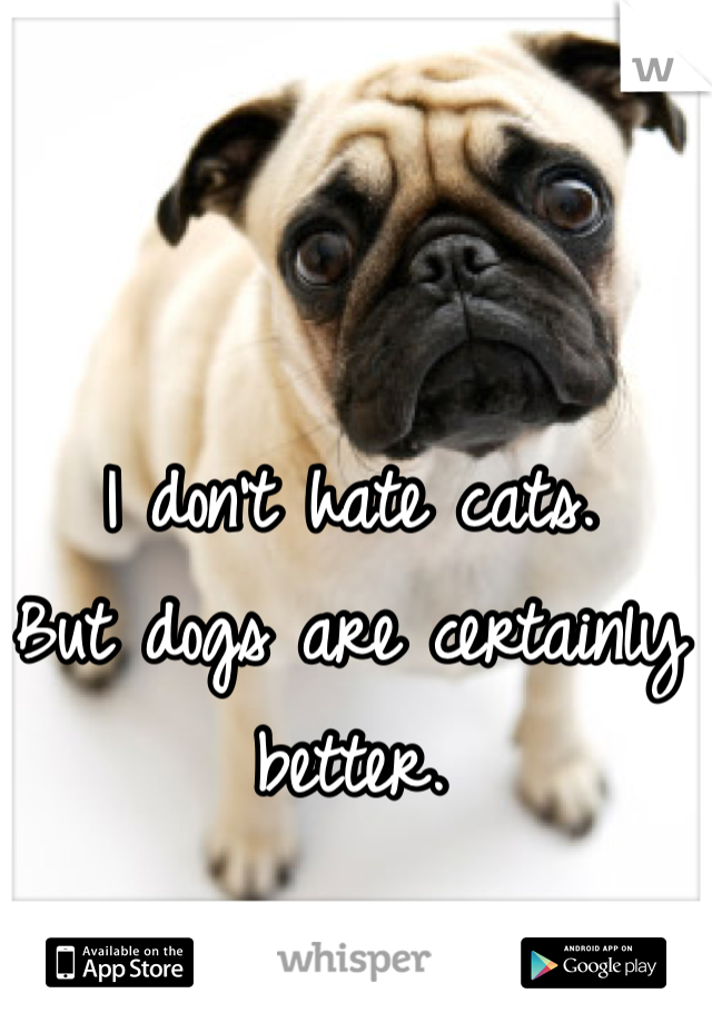 I don't hate cats. 
But dogs are certainly better. 