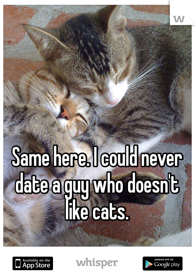 Same here. I could never date a guy who doesn't like cats. 