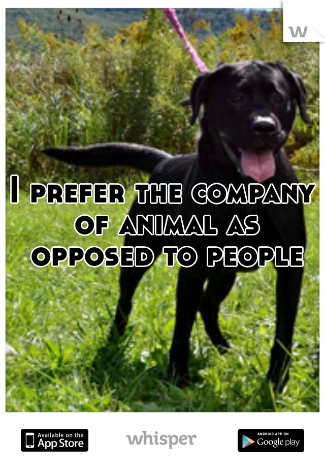 I prefer the company of animal as opposed to people