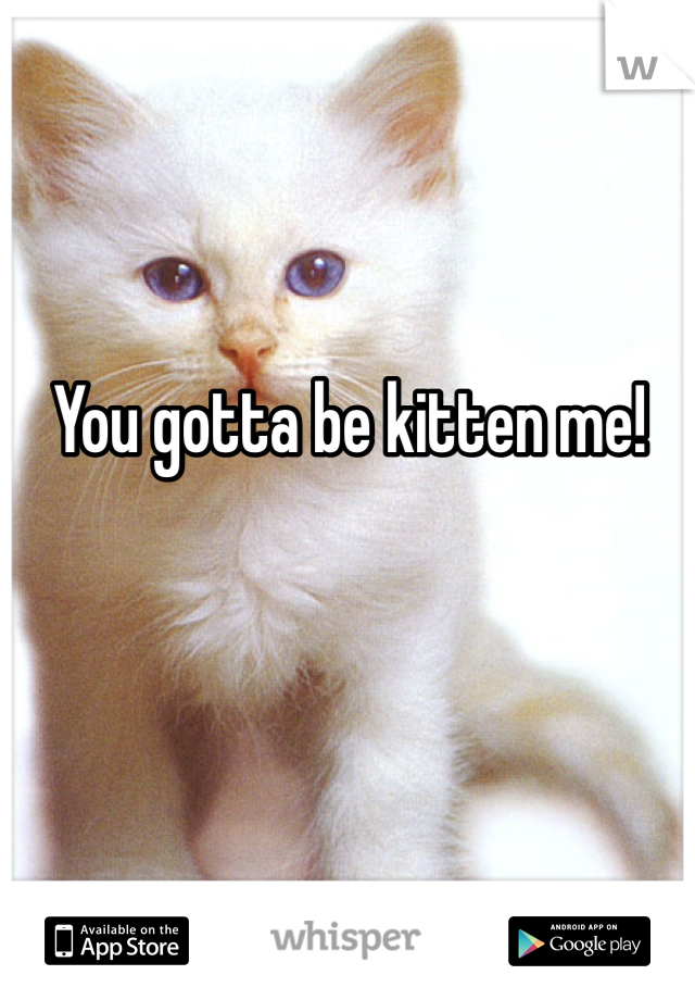 You gotta be kitten me!