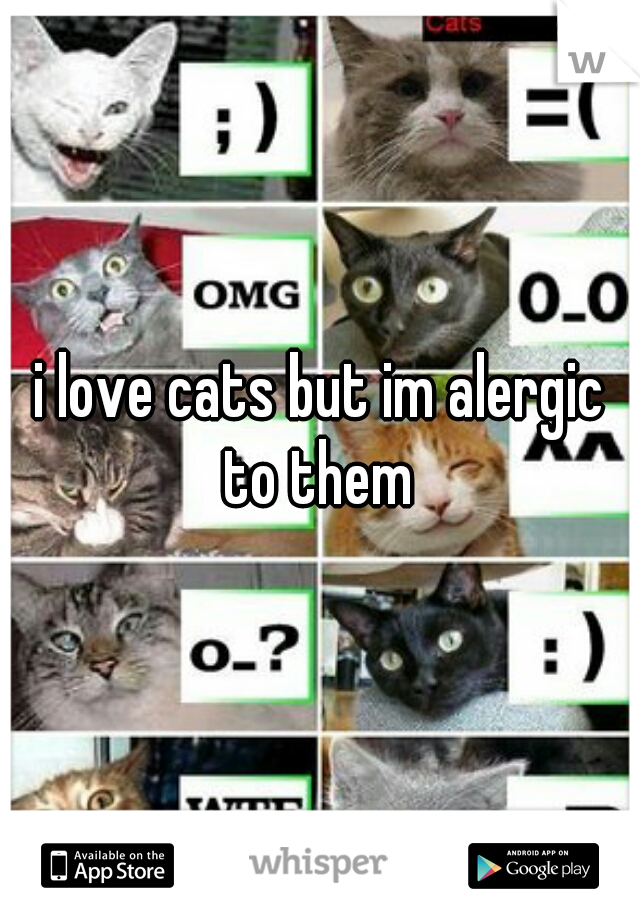 i love cats but im alergic to them 