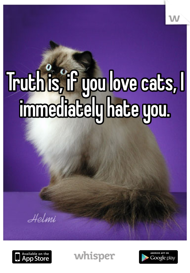 

Truth is, if you love cats, I immediately hate you. 