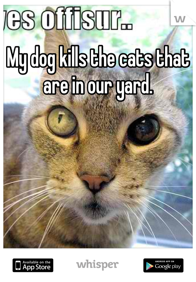 My dog kills the cats that are in our yard. 