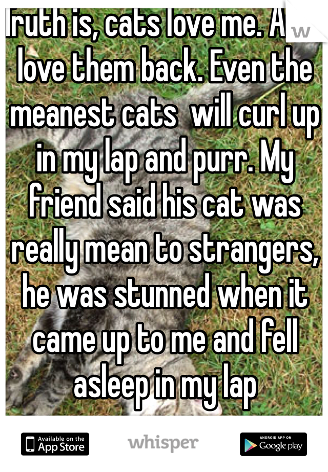 Truth is, cats love me. And I love them back. Even the meanest cats  will curl up in my lap and purr. My friend said his cat was really mean to strangers, he was stunned when it came up to me and fell asleep in my lap