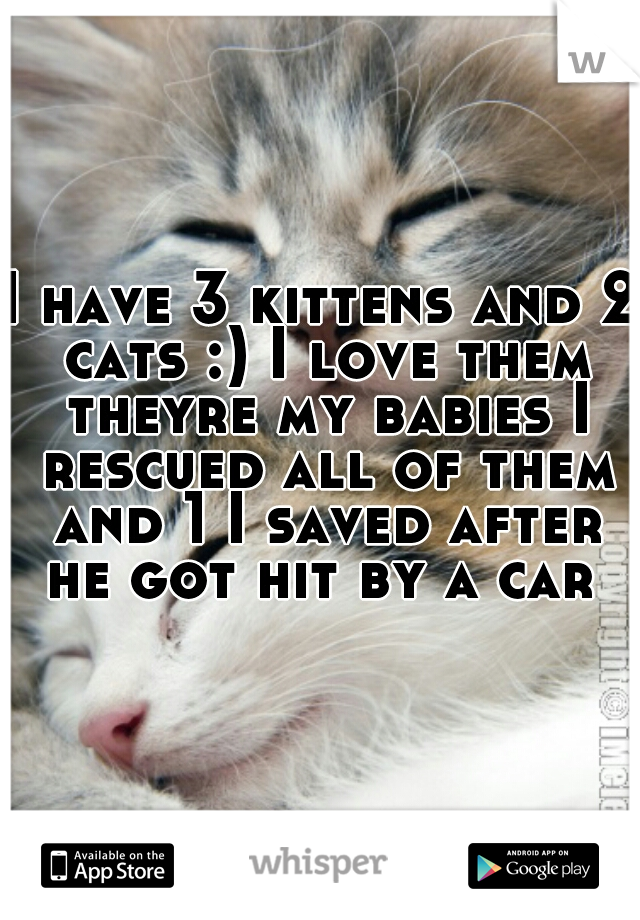 I have 3 kittens and 2 cats :) I love them theyre my babies I rescued all of them and 1 I saved after he got hit by a car ♥