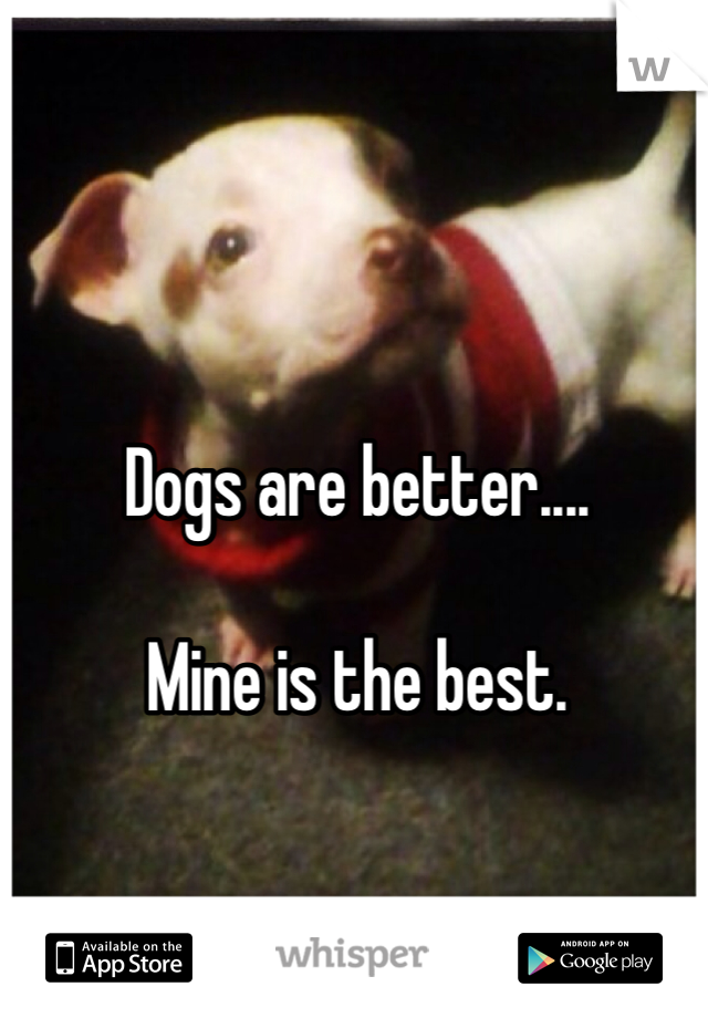 Dogs are better....

Mine is the best. 

