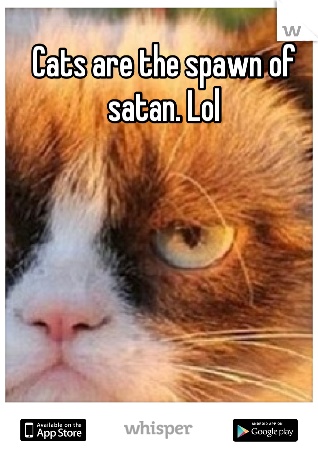 Cats are the spawn of satan. Lol
