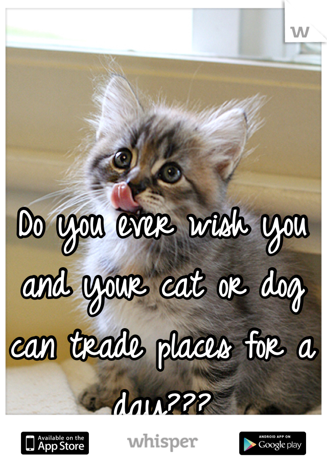 Do you ever wish you and your cat or dog can trade places for a day???