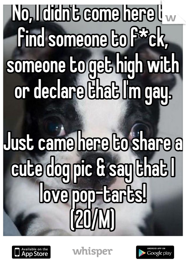 No, I didn't come here to find someone to f*ck, someone to get high with or declare that I'm gay.

Just came here to share a cute dog pic & say that I love pop-tarts!
(20/M)
