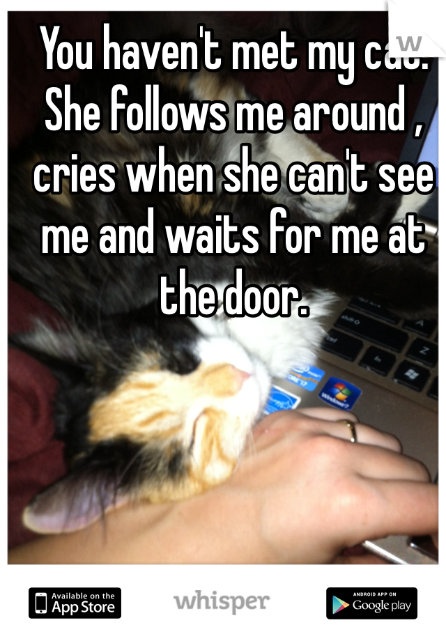 You haven't met my cat. She follows me around , cries when she can't see me and waits for me at the door. 