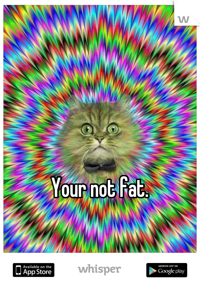Your not fat. 