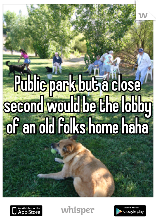 Public park but a close second would be the lobby of an old folks home haha