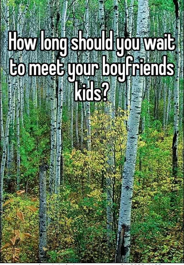 how-long-should-you-wait-to-meet-your-boyfriends-kids