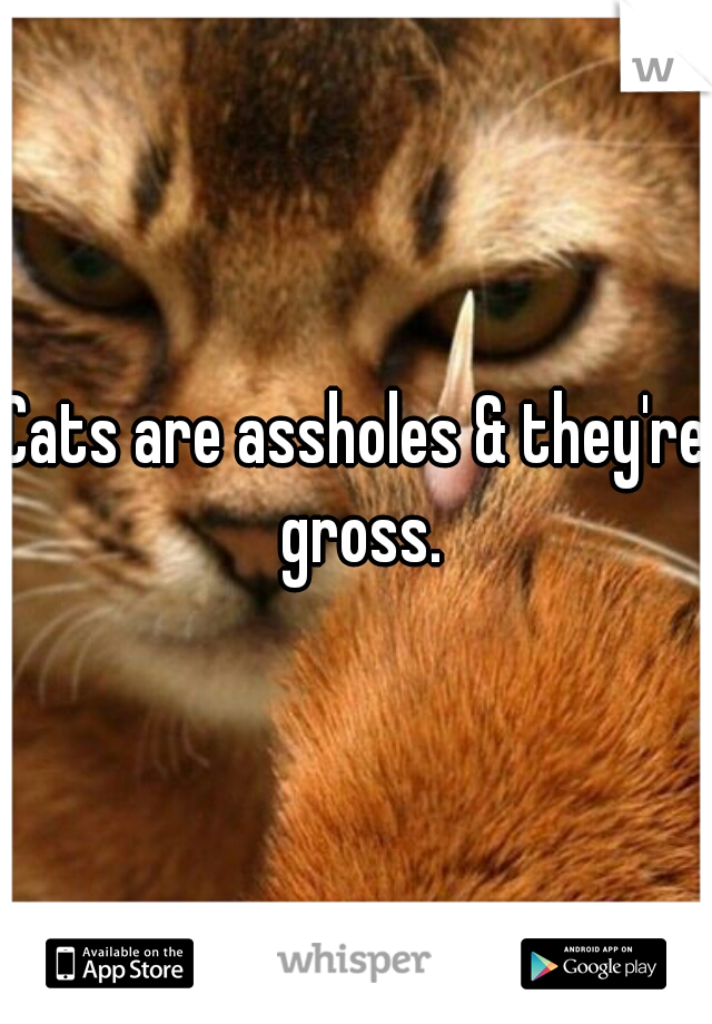 Cats are assholes & they're gross.