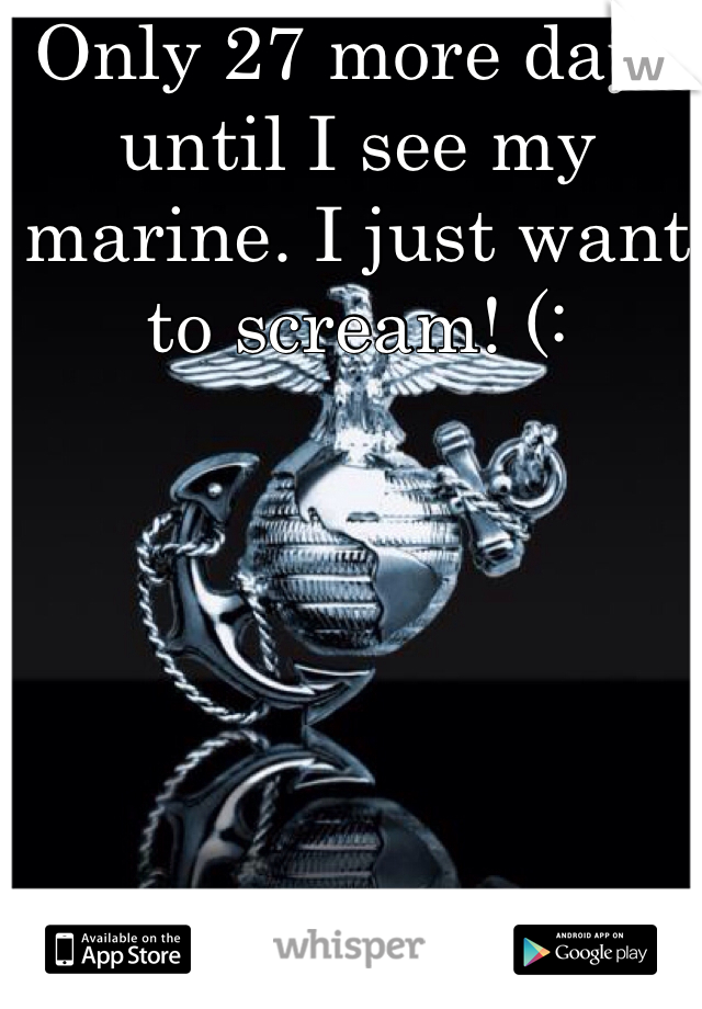 Only 27 more days until I see my marine. I just want to scream! (:
