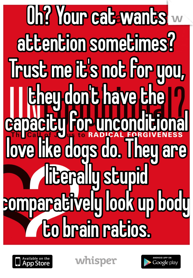 Oh? Your cat wants attention sometimes? Trust me it's not for you, they don't have the capacity for unconditional love like dogs do. They are literally stupid comparatively look up body to brain ratios. 