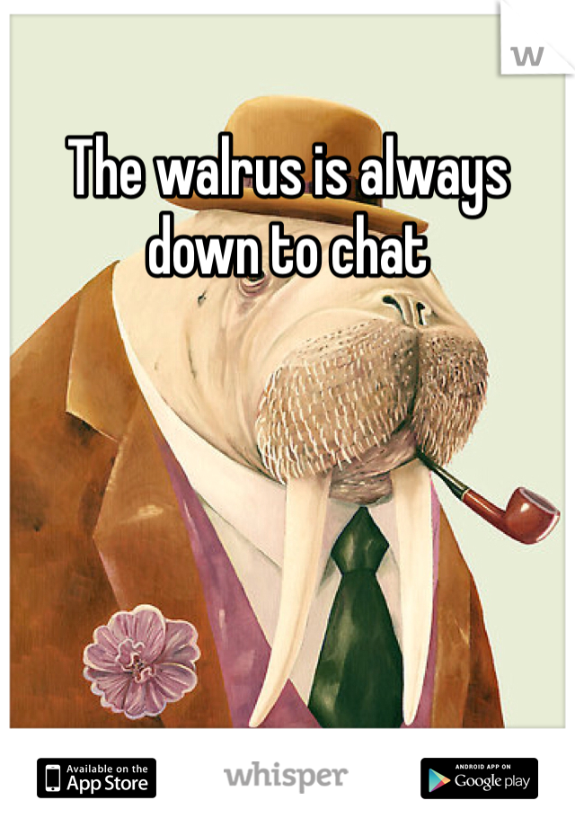 The walrus is always down to chat