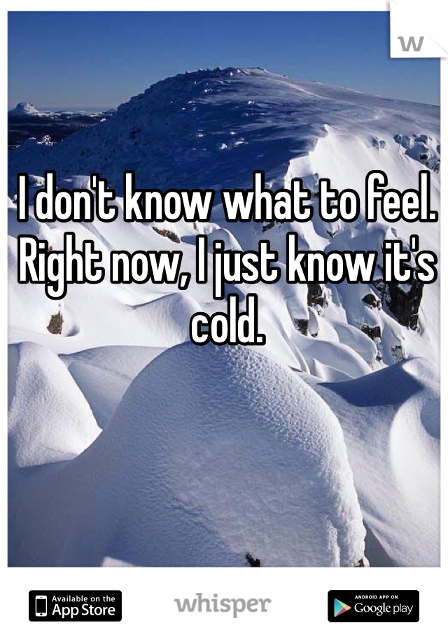 I don't know what to feel. Right now, I just know it's cold.