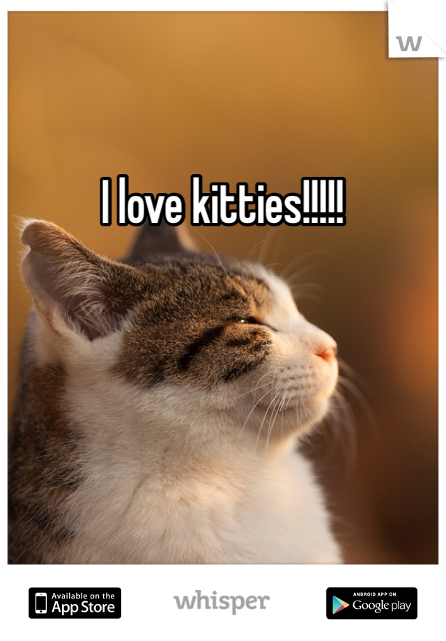 I love kitties!!!!! 