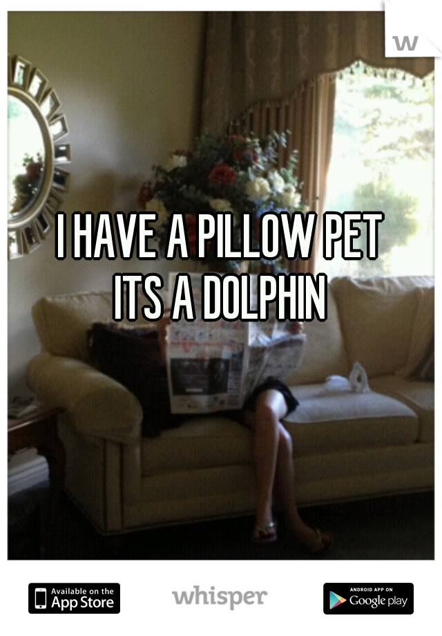 I HAVE A PILLOW PET
ITS A DOLPHIN

 