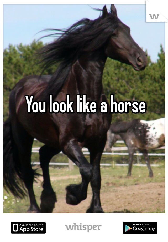 You look like a horse 