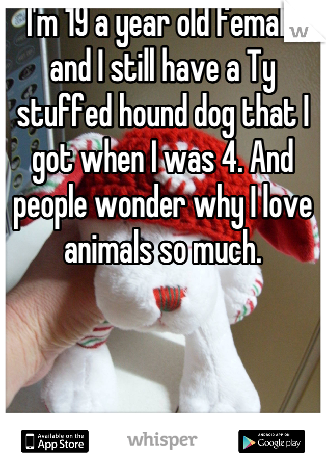 I'm 19 a year old female and I still have a Ty stuffed hound dog that I got when I was 4. And people wonder why I love animals so much.