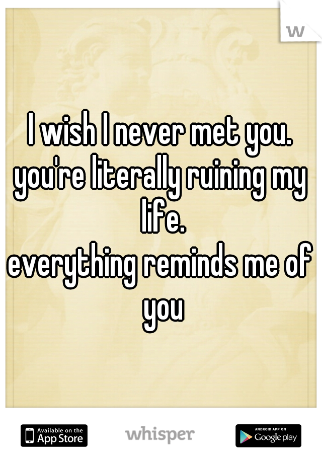 I wish I never met you.
you're literally ruining my life.
everything reminds me of you