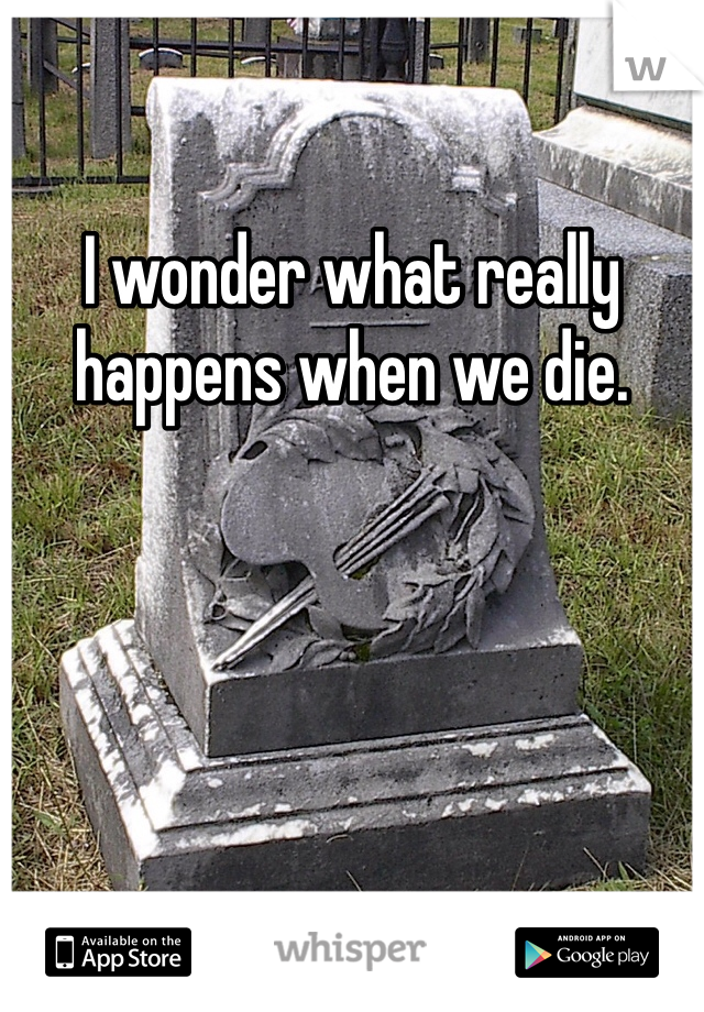 I wonder what really happens when we die.