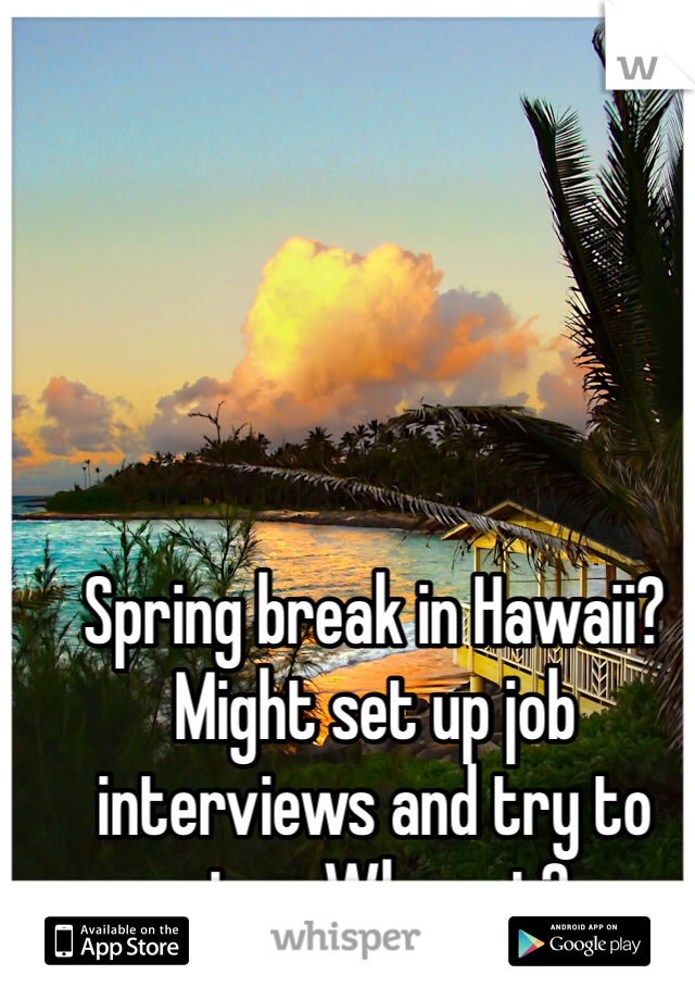 Spring break in Hawaii? Might set up job interviews and try to stay. Why not? 