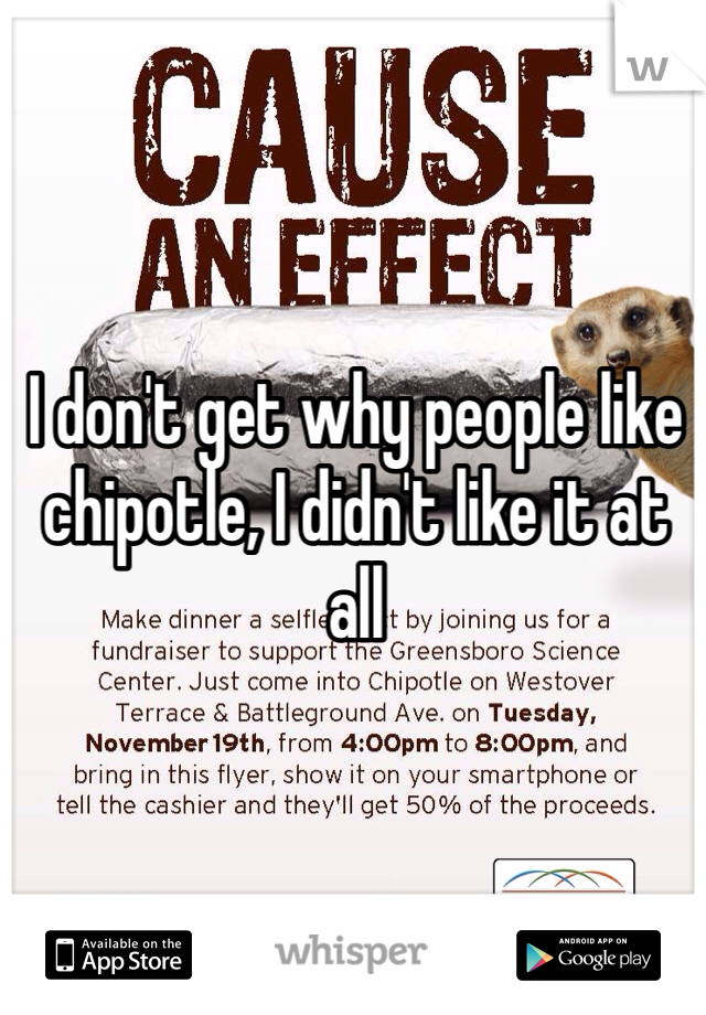I don't get why people like chipotle, I didn't like it at all