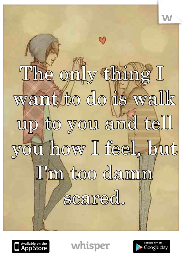 The only thing I want to do is walk up to you and tell you how I feel, but I'm too damn scared.