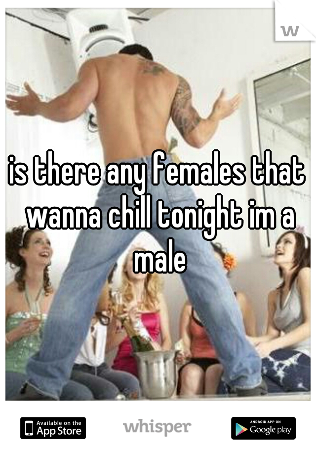 is there any females that wanna chill tonight im a male