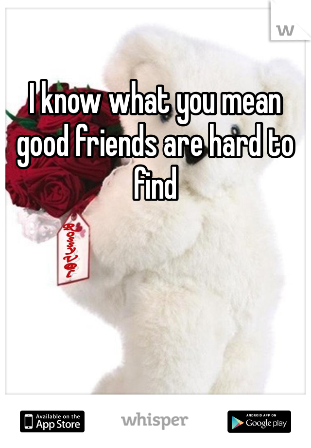 I know what you mean good friends are hard to find 