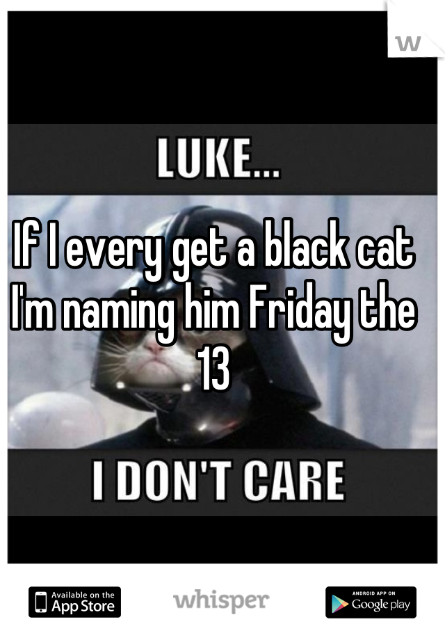 If I every get a black cat I'm naming him Friday the 13