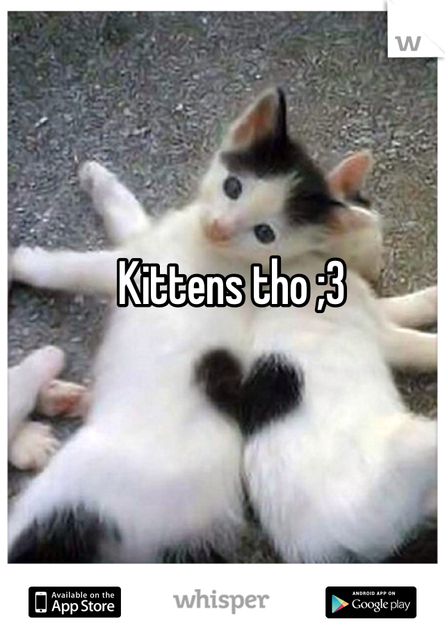 Kittens tho ;3 