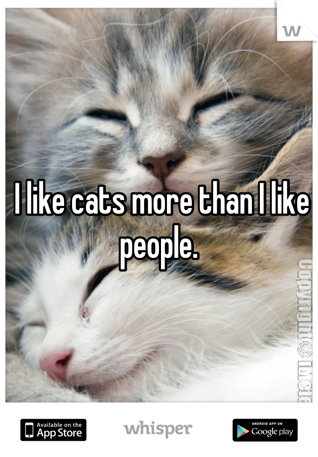 I like cats more than I like people. 
