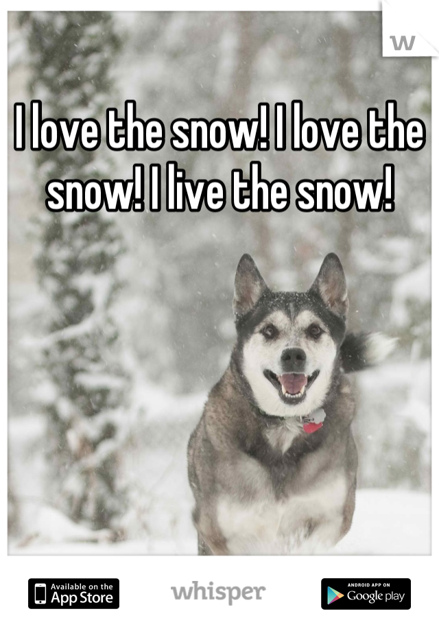 I love the snow! I love the snow! I live the snow!