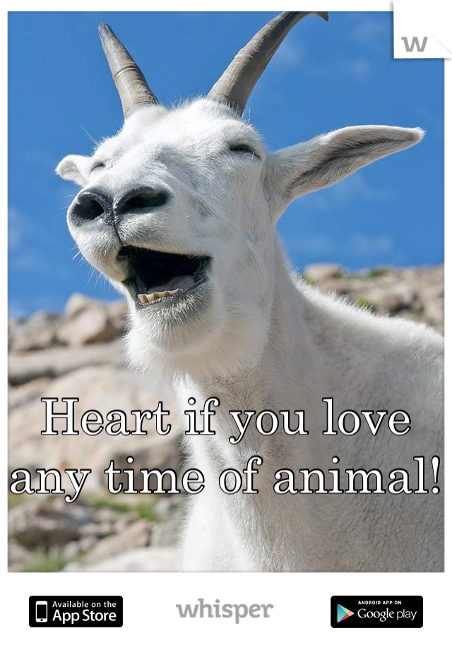 Heart if you love any time of animal!
