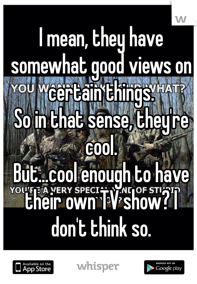 I mean, they have somewhat good views on certain things.
So in that sense, they're cool.
But...cool enough to have their own TV show? I don't think so.