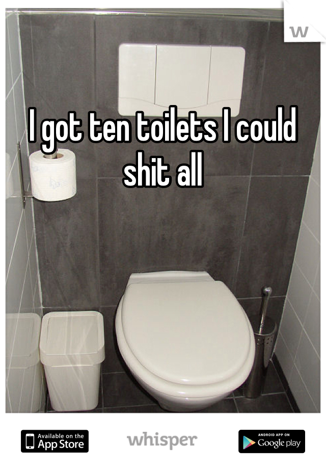 I got ten toilets I could shit all