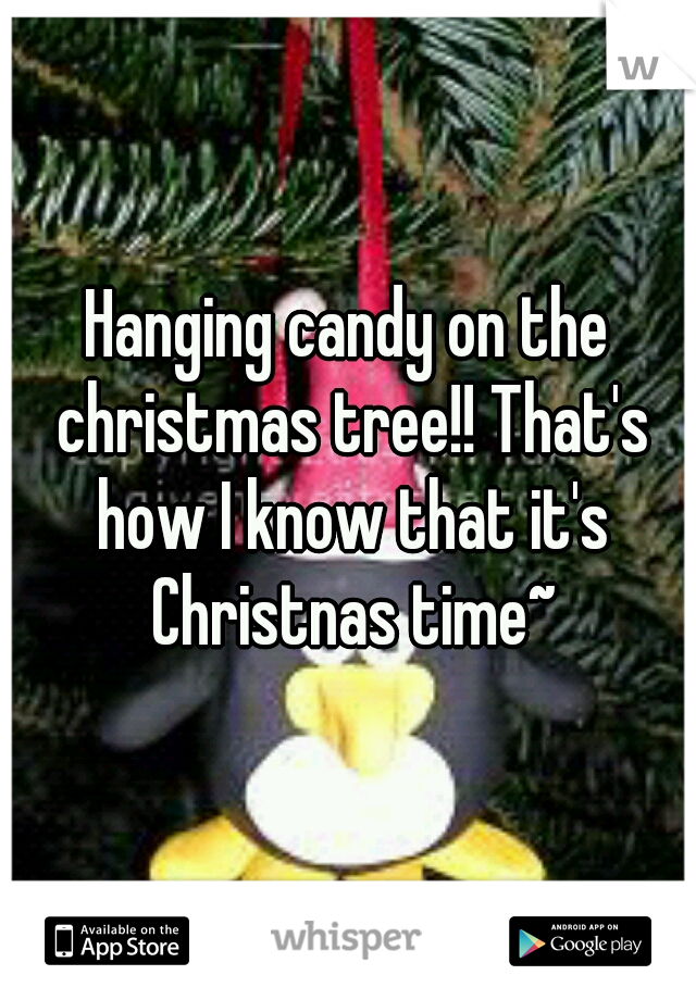 Hanging candy on the christmas tree!! That's how I know that it's Christnas time~