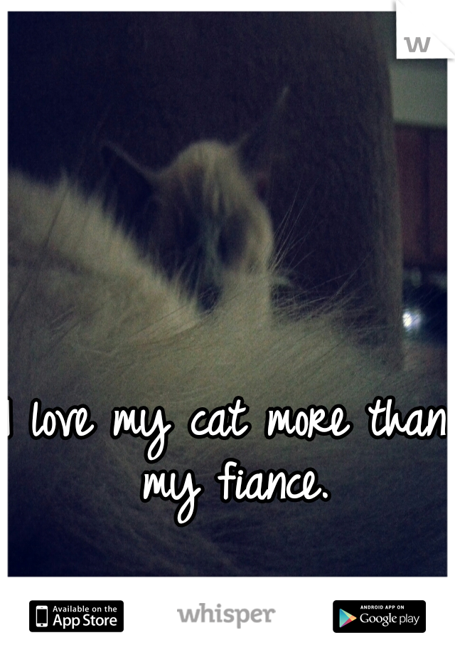 I love my cat more than my fiance.
