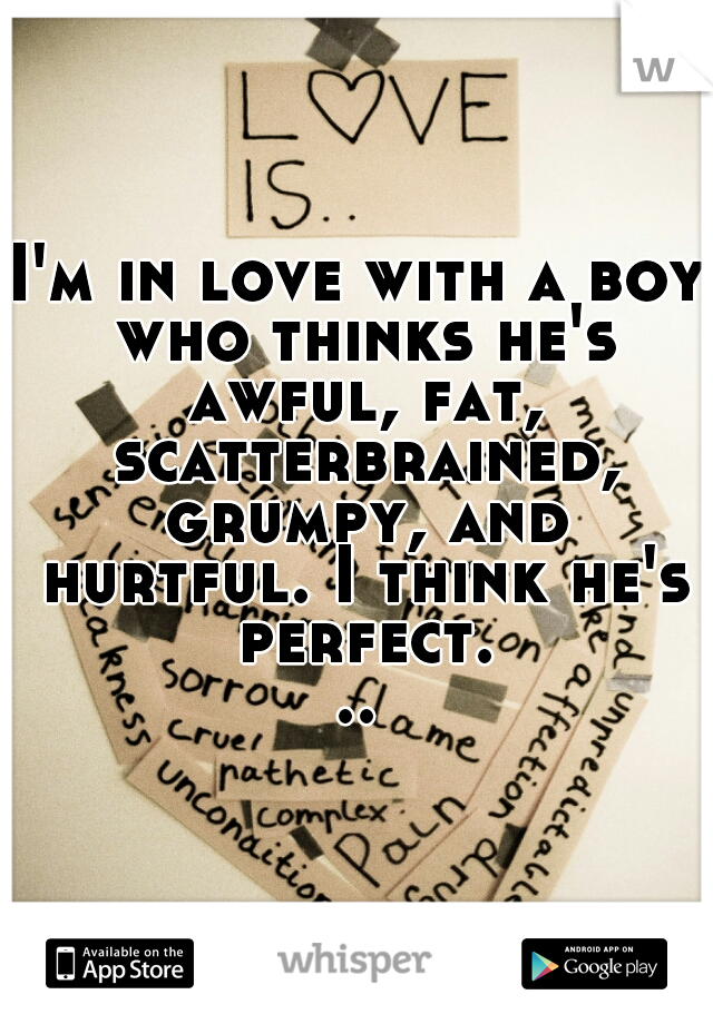 I'm in love with a boy who thinks he's awful, fat, scatterbrained, grumpy, and hurtful. I think he's perfect...