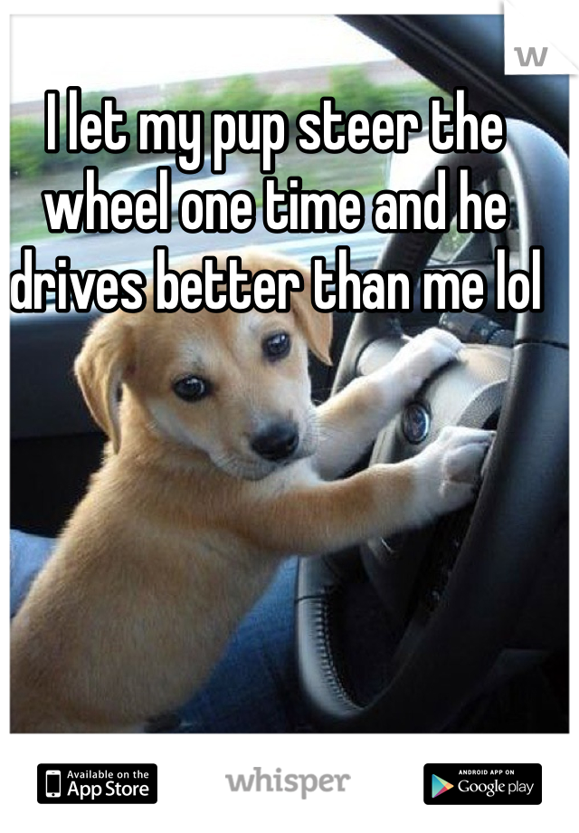 I let my pup steer the wheel one time and he drives better than me lol
