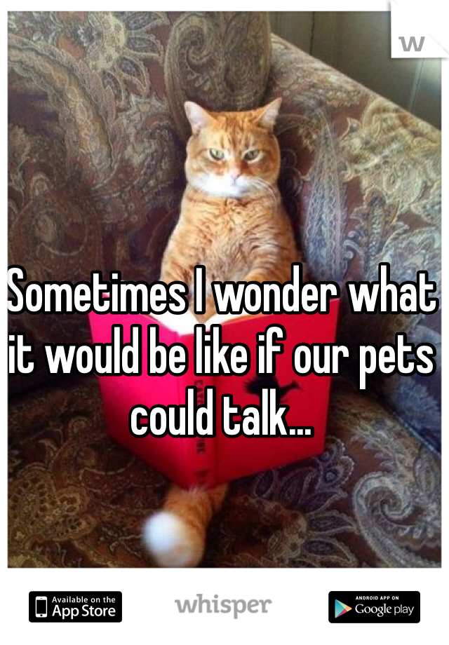 Sometimes I wonder what it would be like if our pets could talk...