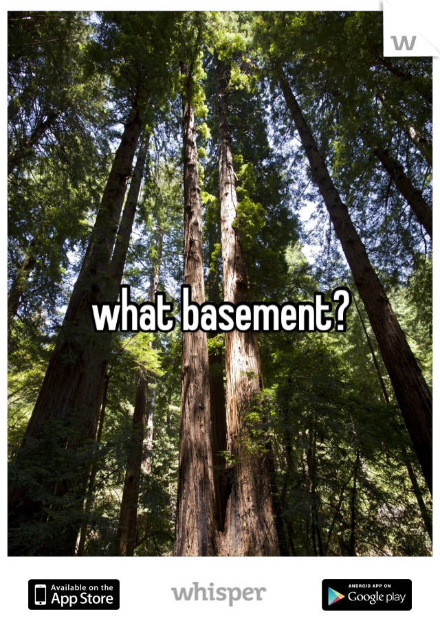 what basement?