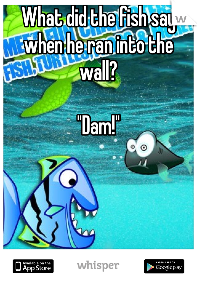 What did the fish say when he ran into the wall?

"Dam!"