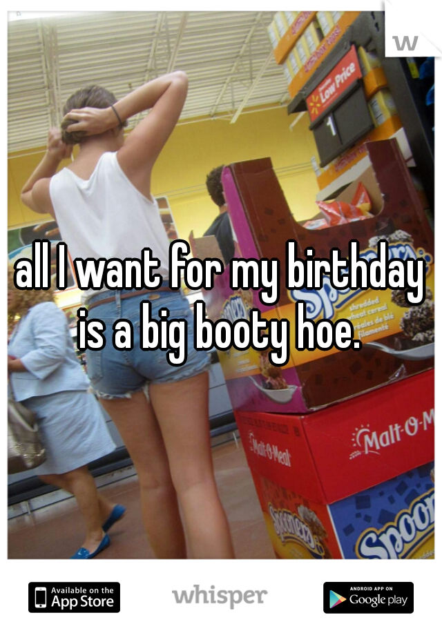 all I want for my birthday is a big booty hoe. 