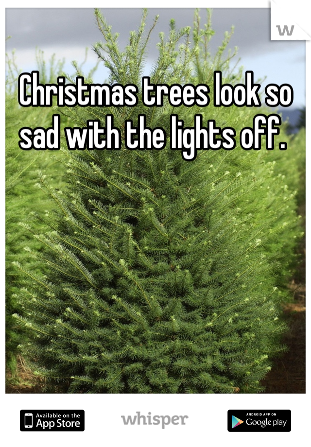Christmas trees look so sad with the lights off. 
