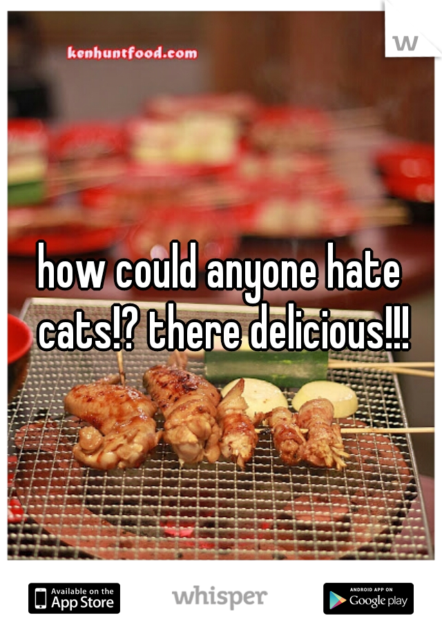 how could anyone hate cats!? there delicious!!!